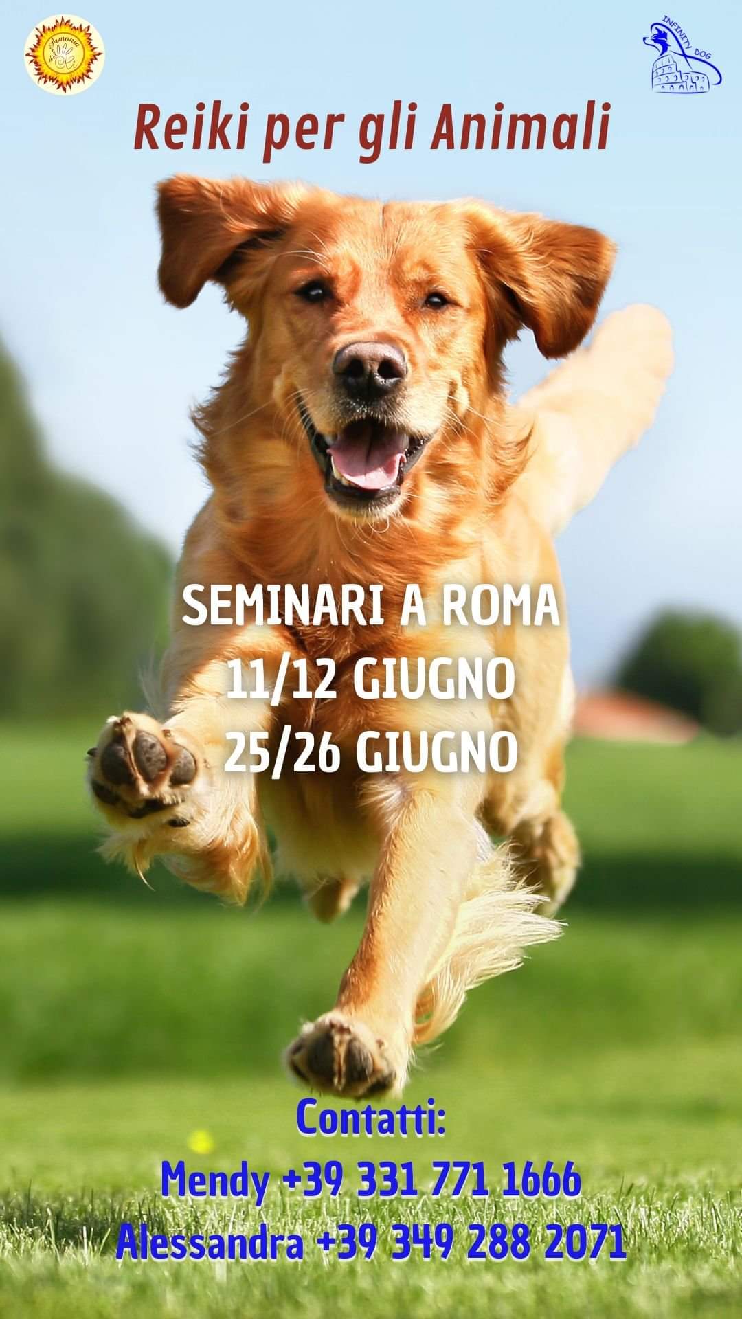 reiki animali